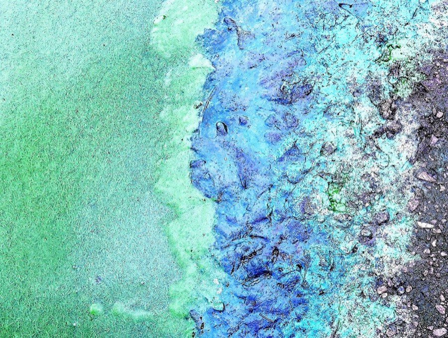Angetrocknete, türkis-blaue Blaualgen am Seeufer – besonders gefährlich für Hunde