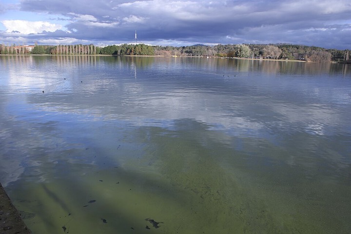Diffus grünlich getrübtes Wasser im West Basin des Lake Burley Griffin